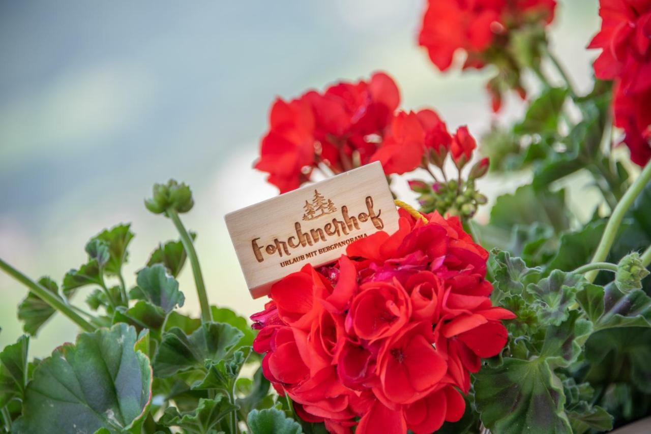 Forchnerhof -FeWo 3 Täler Blick Rodeneck Exterior foto